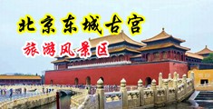 操屄视频免费无遮挡中国北京-东城古宫旅游风景区